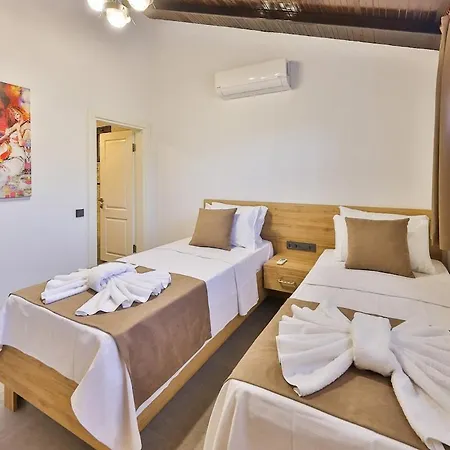 Kalkan Lisburn فيلة كاس