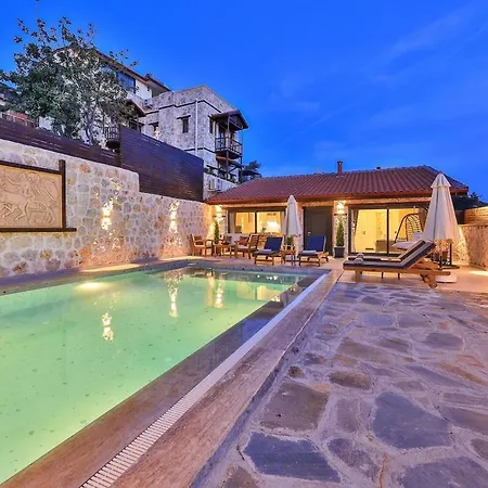 Kalkan Lisburn فيلة *