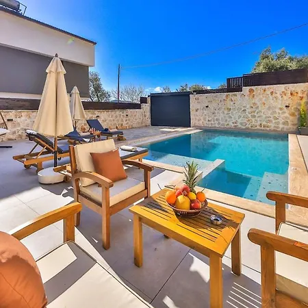 فيلة Kalkan Lisburn كاس
